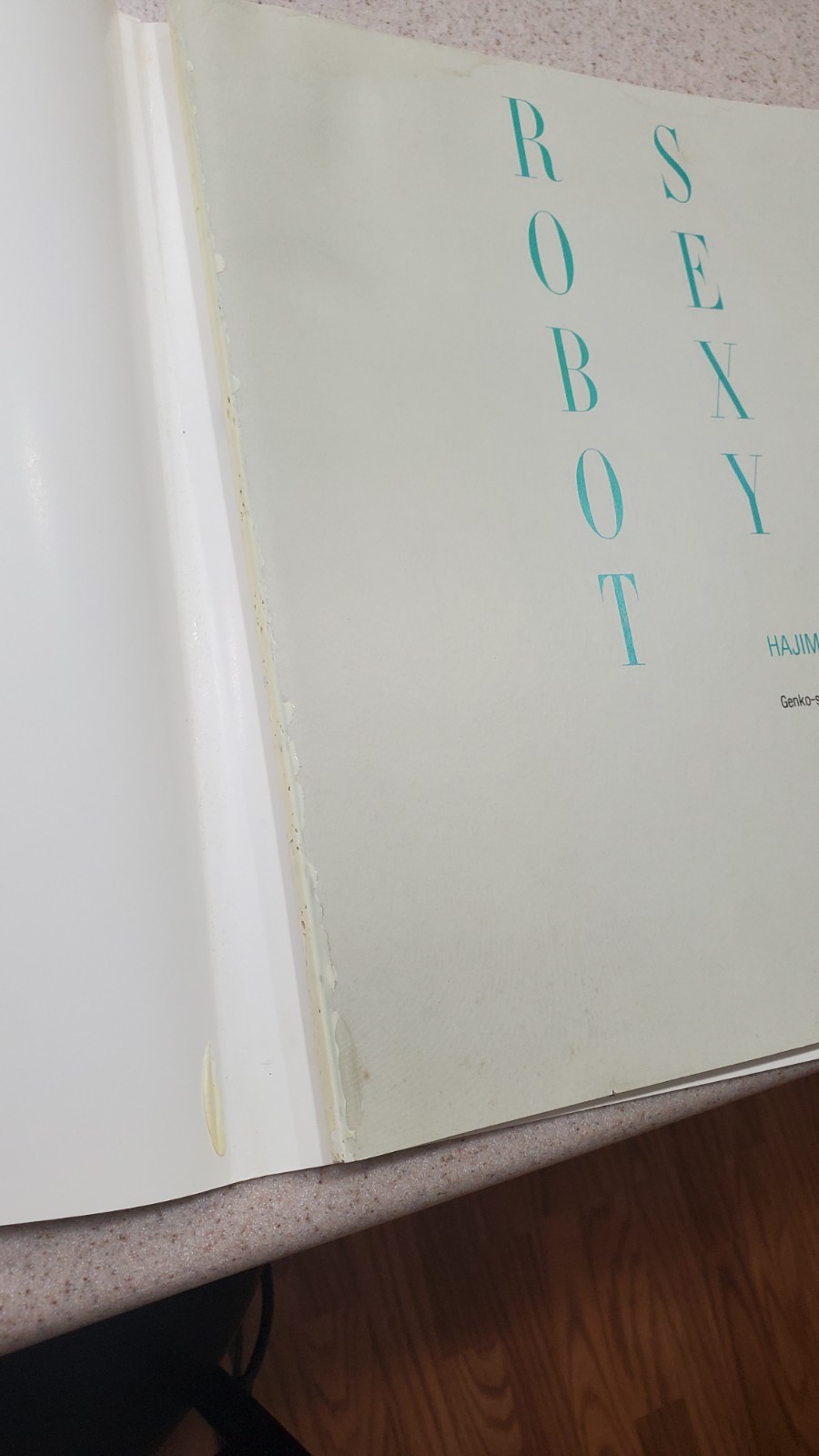Sexy Robot Hajime Sorayama 1983 First Edition Vintage Art Book DETACHED COVER