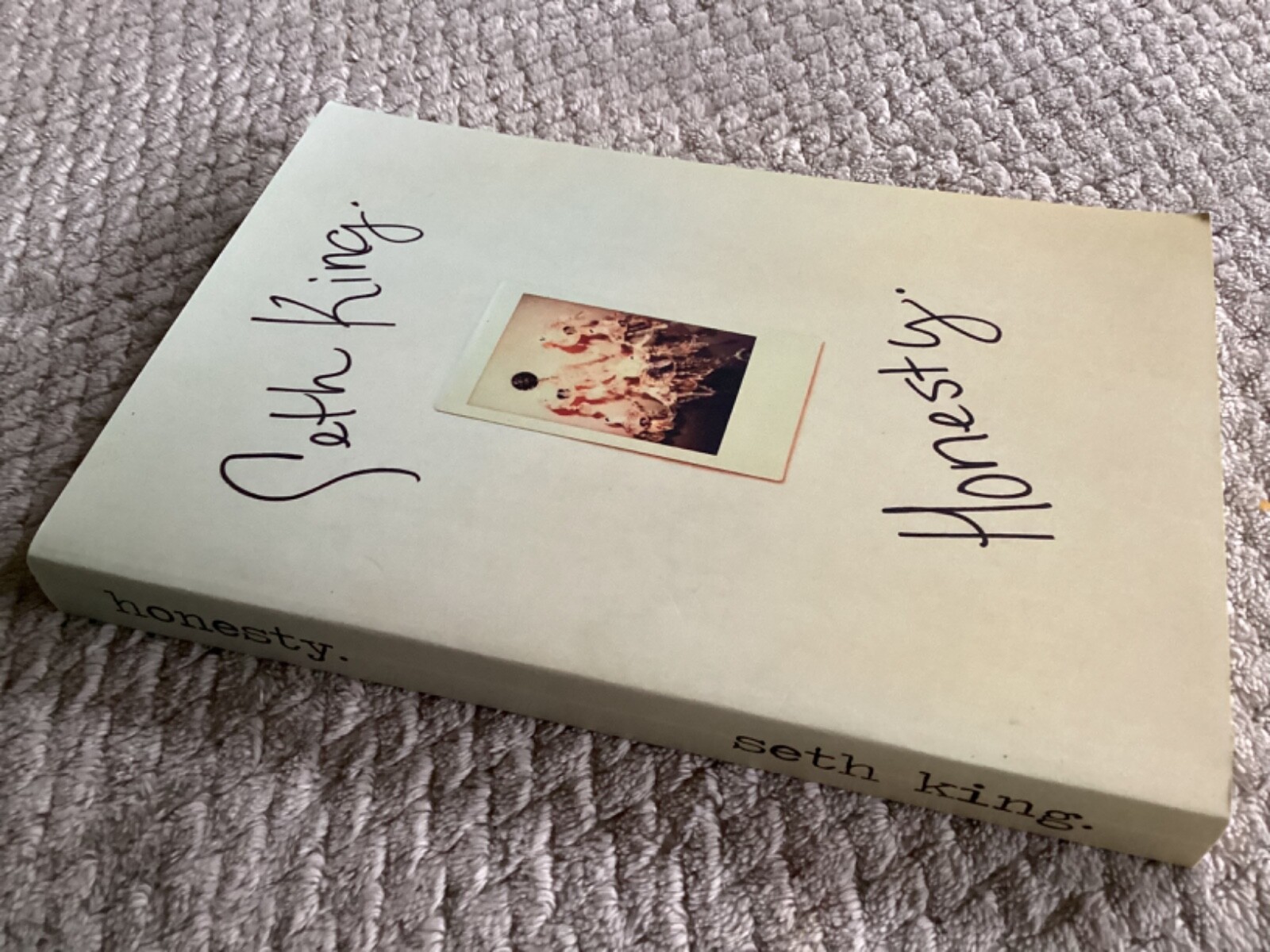 *Signed* Honesty by Seth King (2016, Trade Paperback) LGBT Gay Romance 1st Love