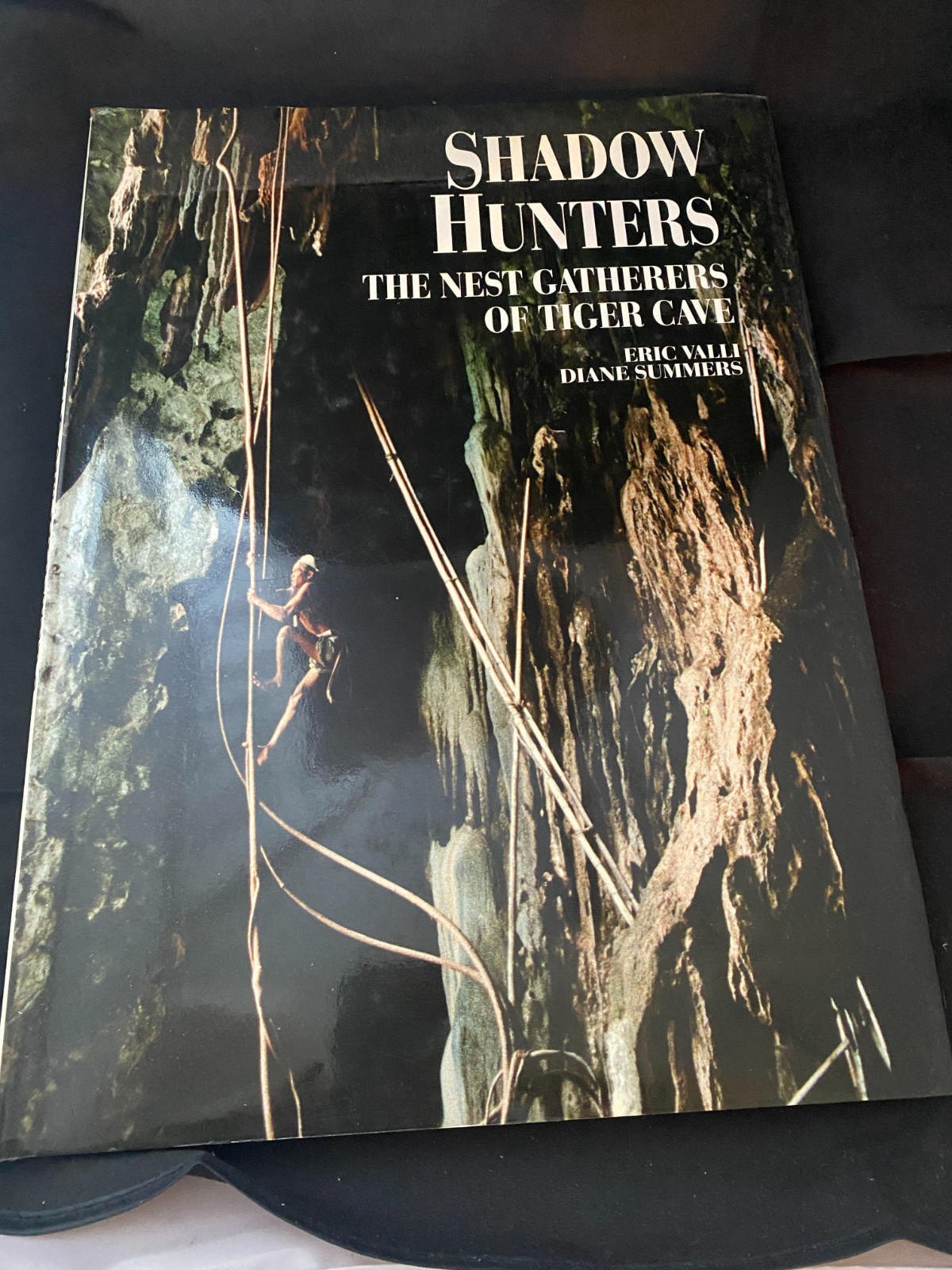 Shadow Hunters : The Nest Gatherers of Tiger Cave by Diane Summers and Éric…