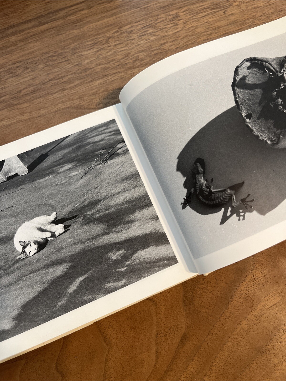 Nobuyoshi Araki “Shakyojin Diary”