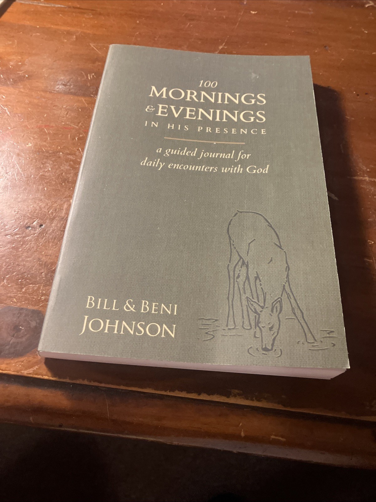 Softback book 219 pages 100 mornings and evenings in his presence encounters God