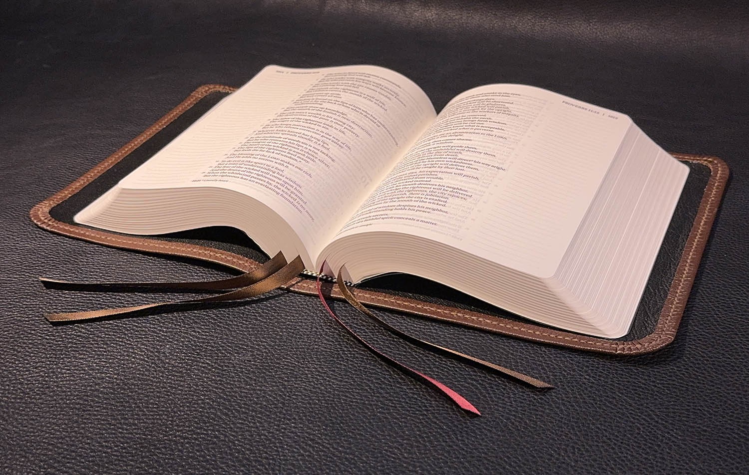 ESV Single Column Journaling Bible, Pebbled Brown Goatskin Leather, 4 Ribbons