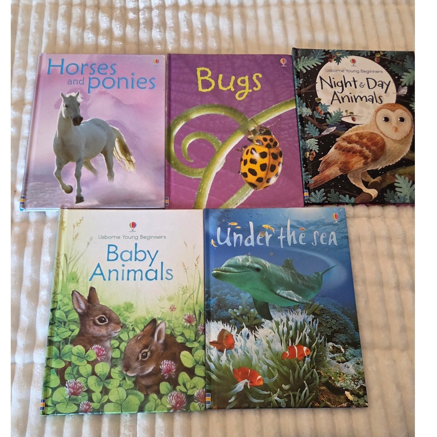 Usborne Young Beginners Nature Books Animal Science Hardcover Set Multicolor OS