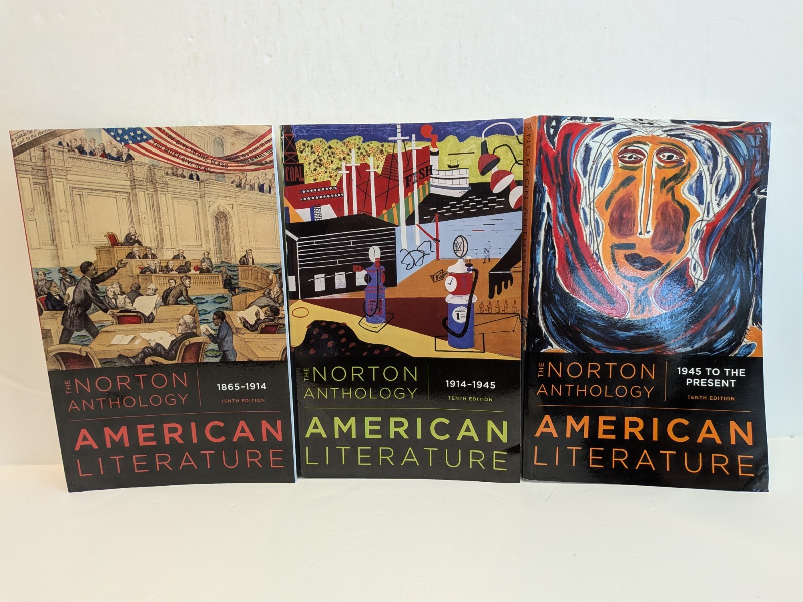 Norton Anthology American Literature 10e Volume C D E Book Lot 1865 1914 Present