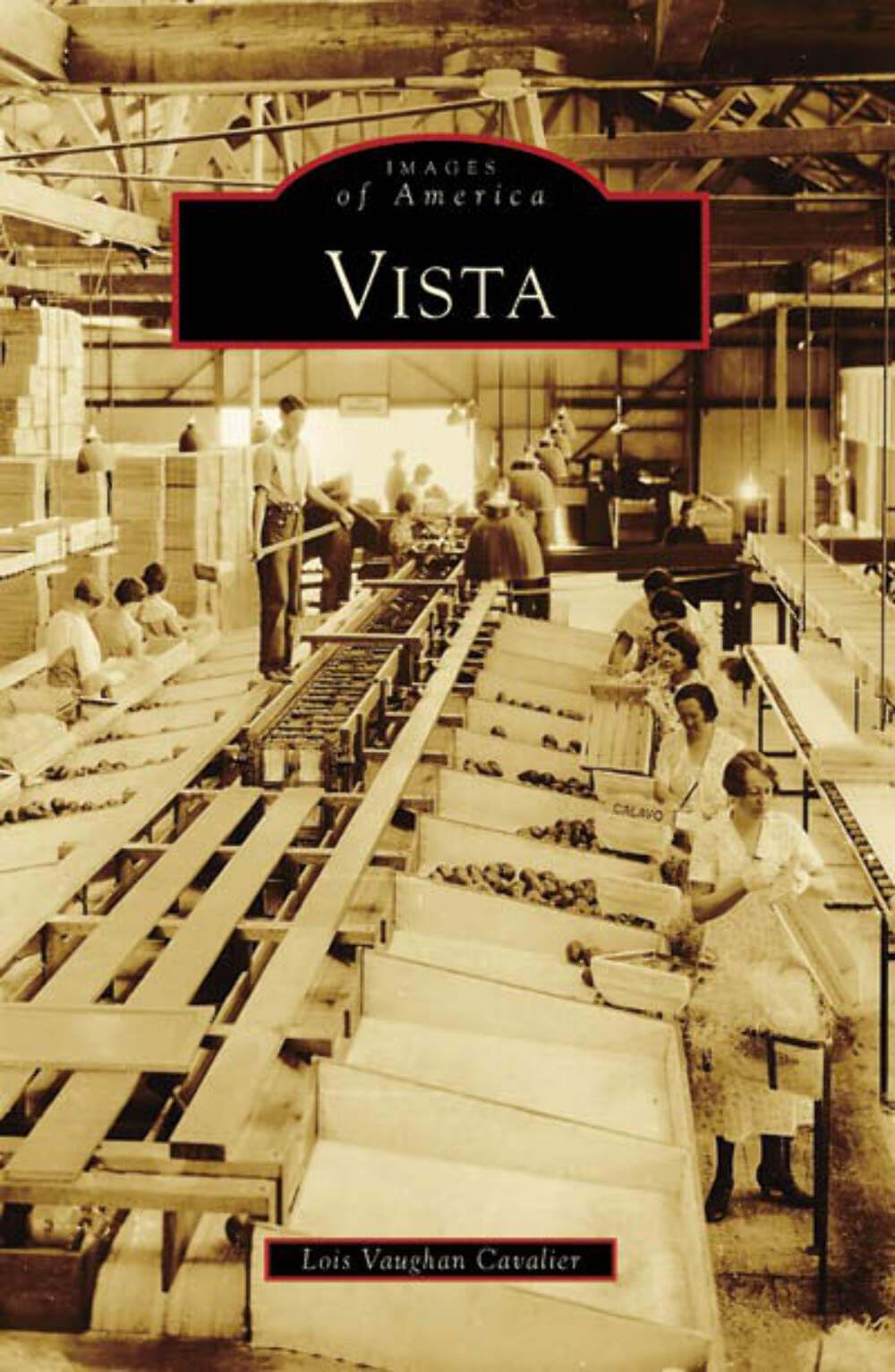 NEW Arcadia Publishing Vista, CA 9780738559391 Images of America Trade Paperback