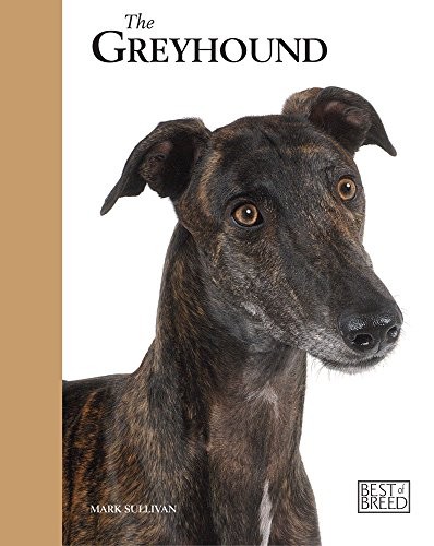 Greyhound – Best of Breed by Mark Sullivan Hardback Book The Fast Free Shipping