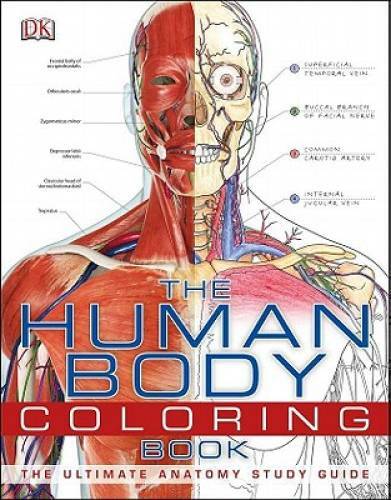 The Human Body Coloring Book – Paperback By DK Publishing – VERY GOOD