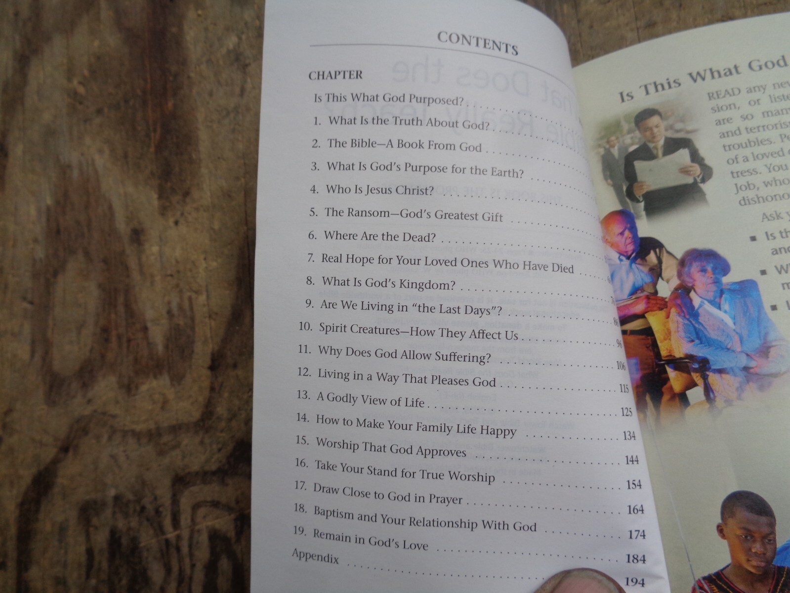 “WHAT DOES THE BIBLE REALLY TEACH?”. 2016. 223 pages. Paperback. Watchtower