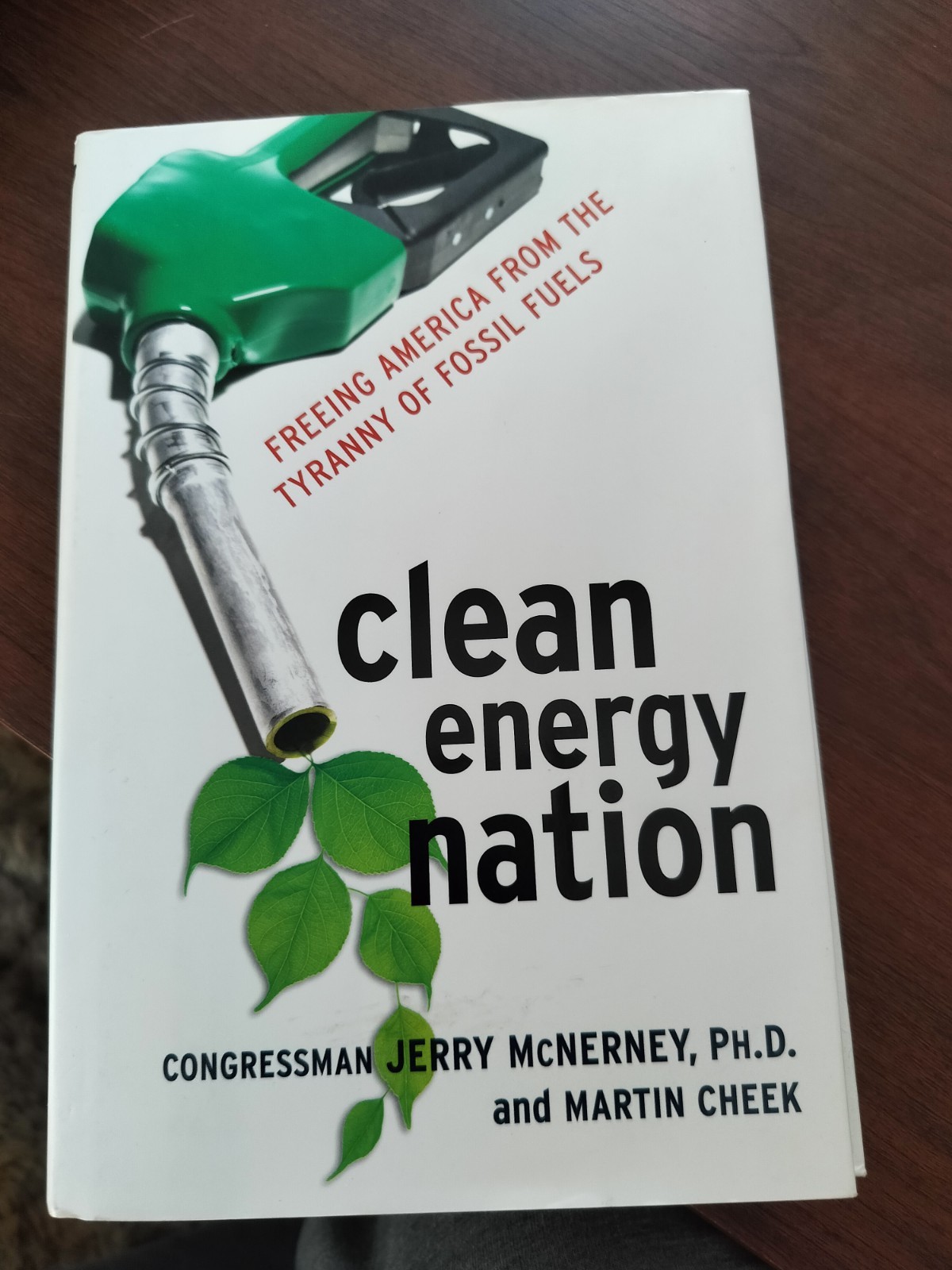 Amacom Clean Energy Nation Freeing America Hardcover Cheek McNerney 2011