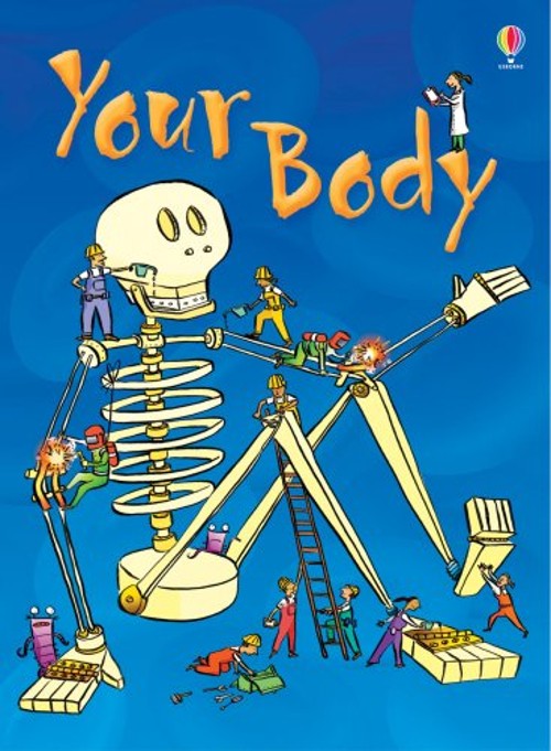 Your Body Beginners Hardcover Stephanie Turnbull