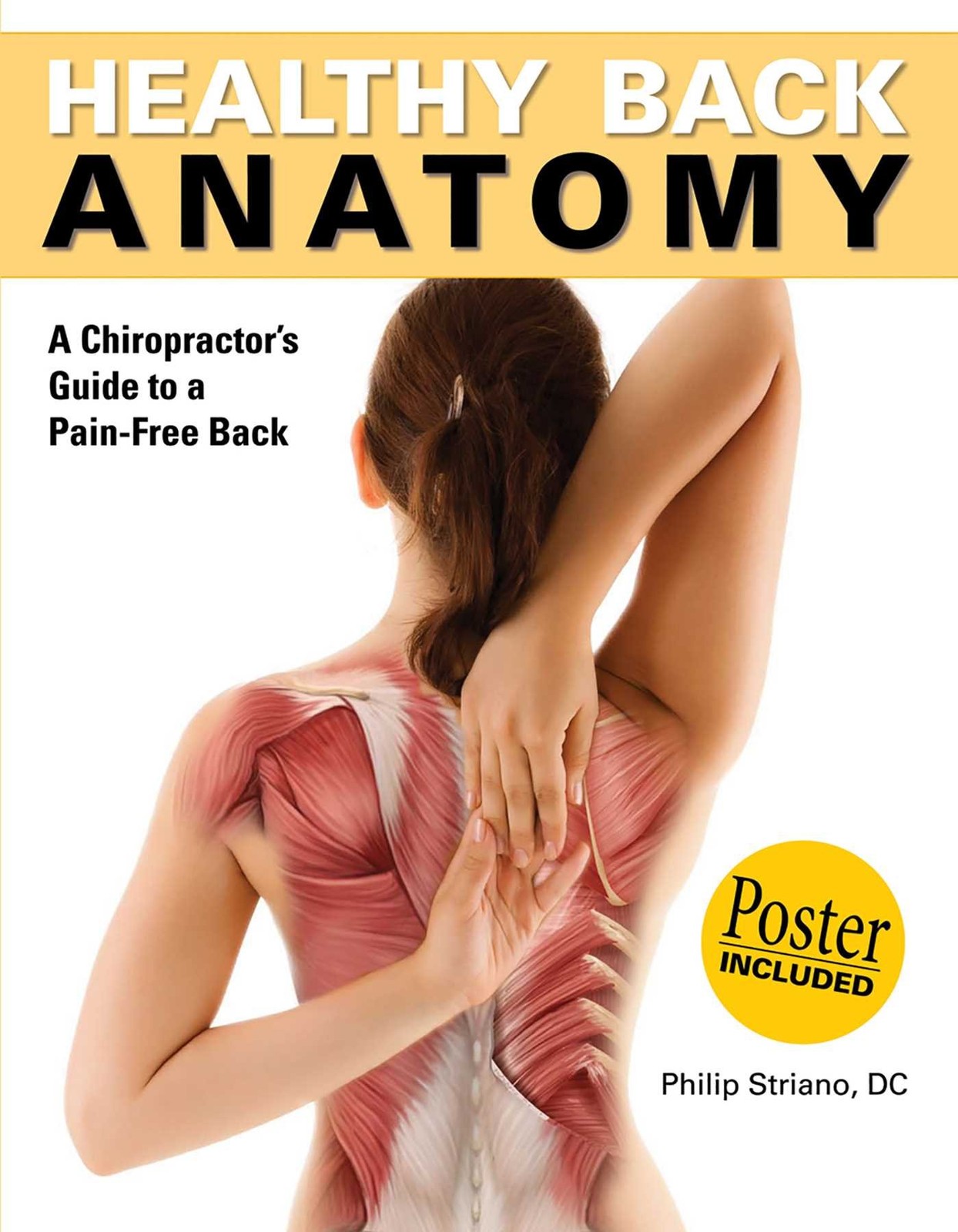 Healthy Back Anatomy (Anatomies of)