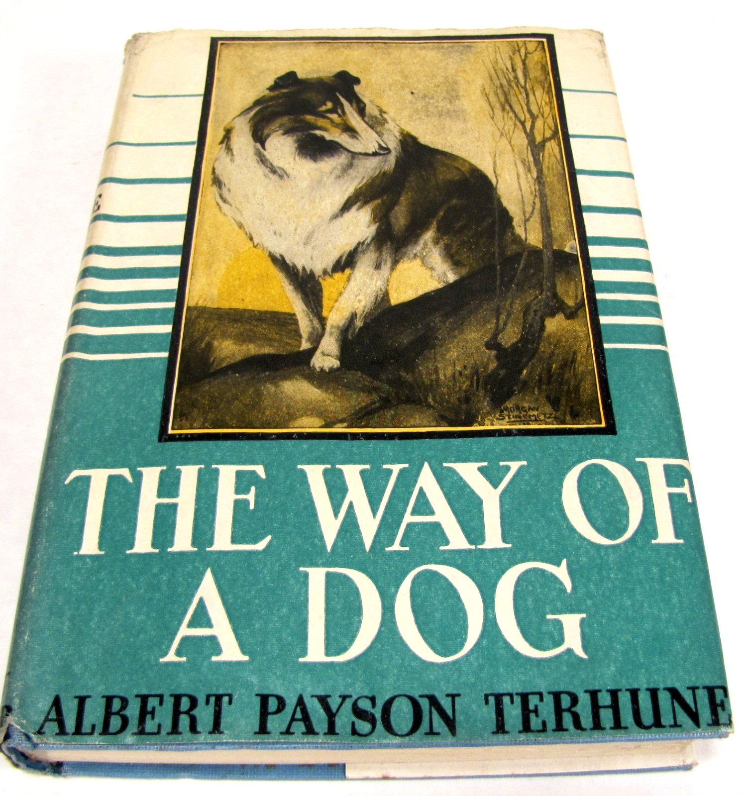 The Way of a Dog by Albert Terhune First Edition Hardback w/ Dust Jacket 1932