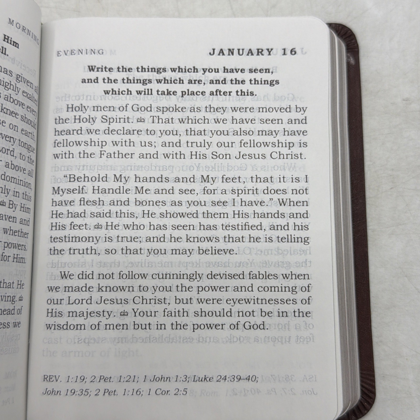 Daily Light – Tan (Leather / Fine Binding)