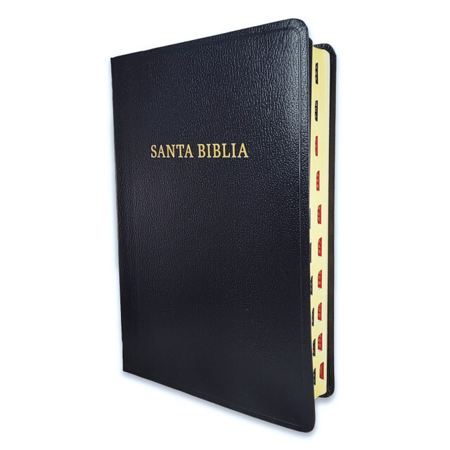 Biblia Letra Gigante RV1960 imit piel negro con indice