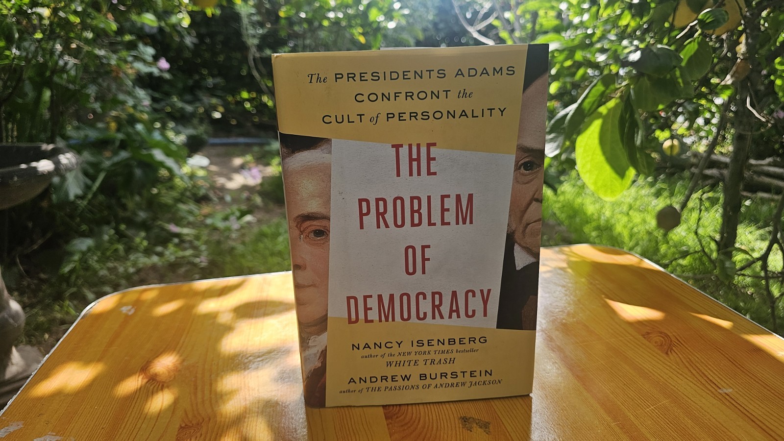 Problem of Democracy : The Presidents Adams Confront the Cult of Personality