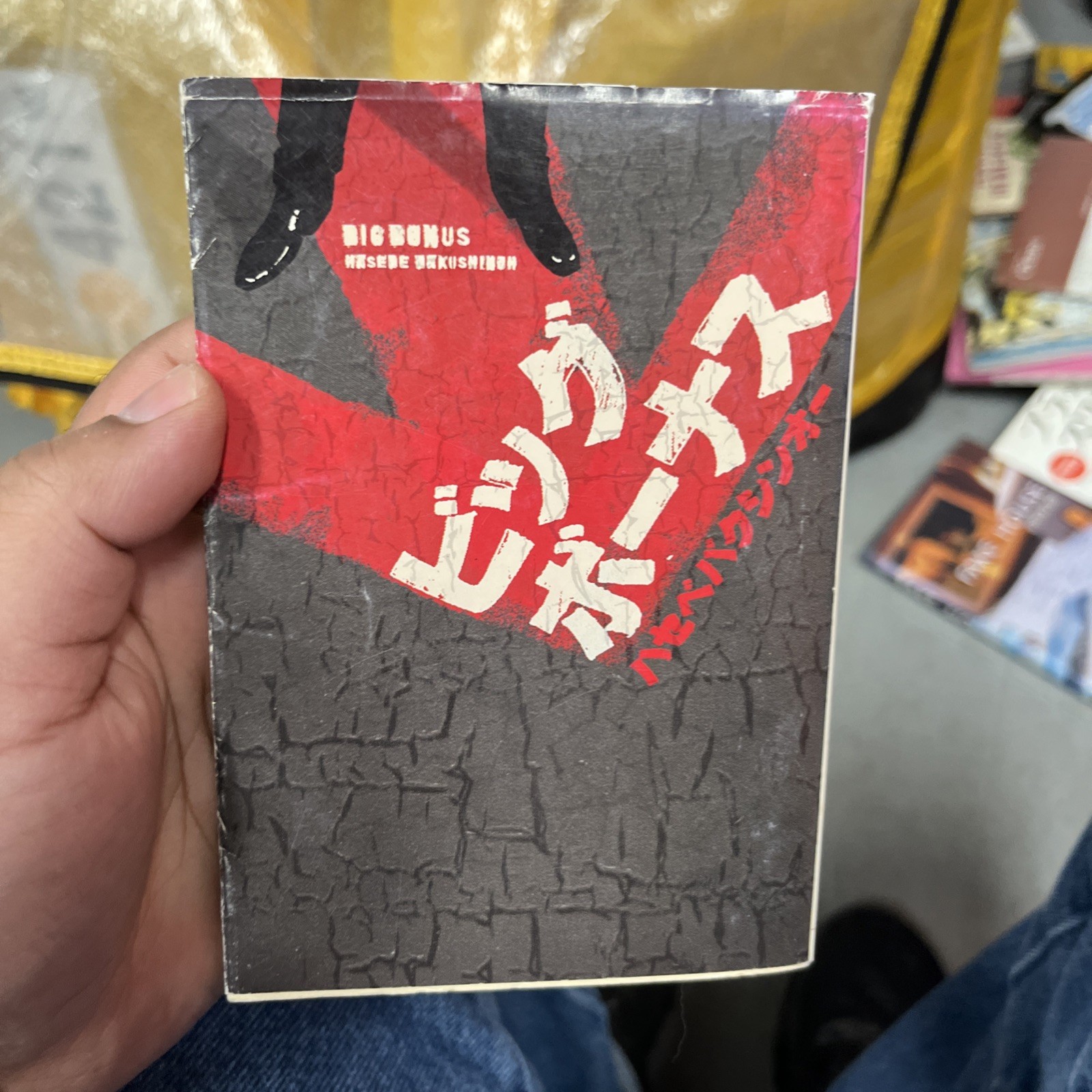 Baccano Japanese Light Novel by Ryohgo Narita Adventure Book