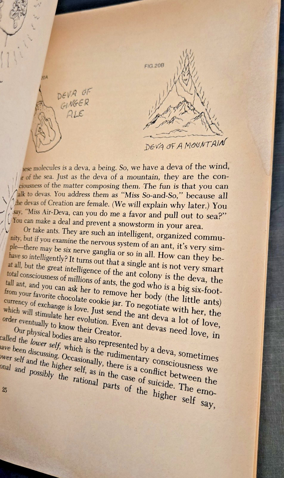 Cosmic Book – Paperback, by Itzhak Bentov – Acceptable – Rare PB 1982