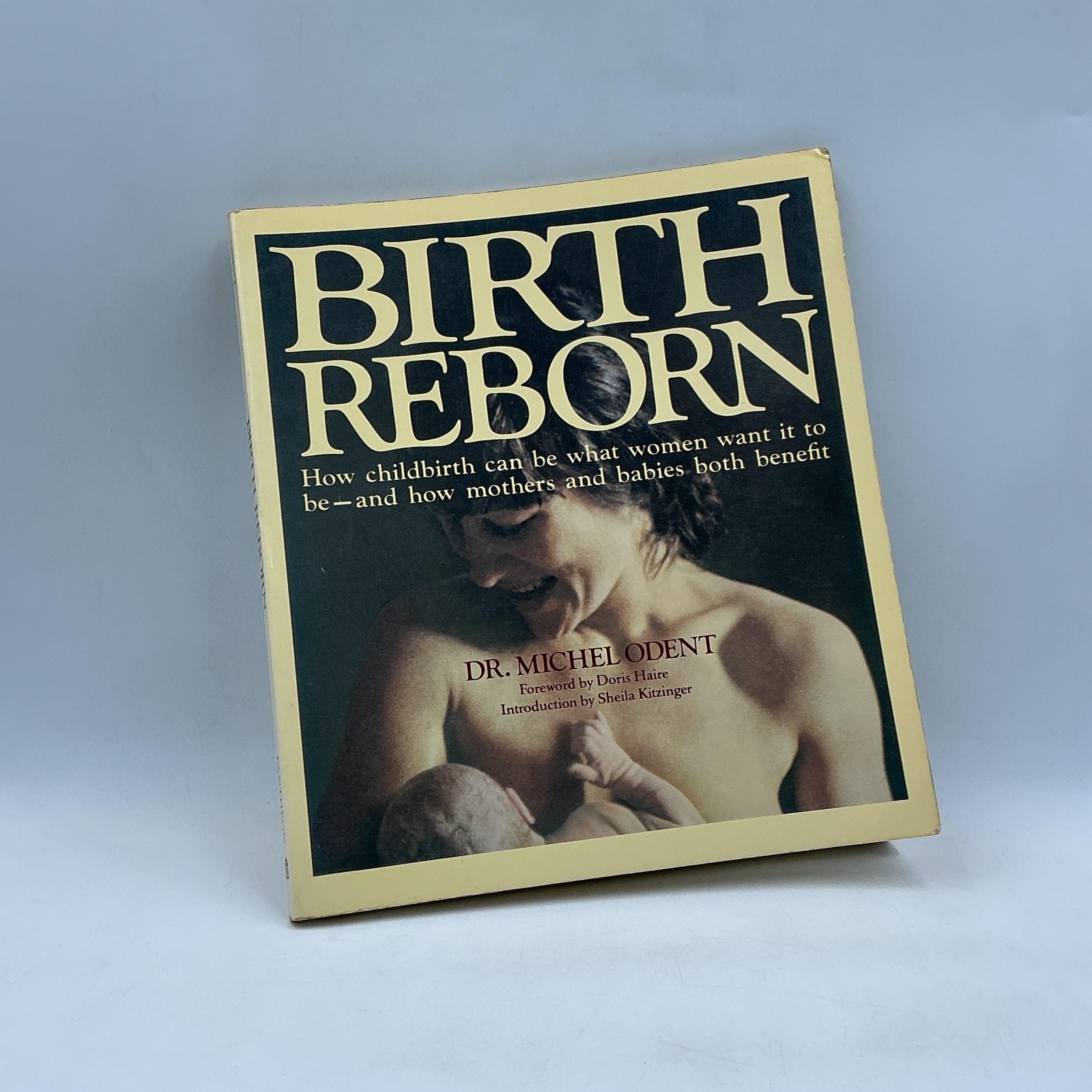 Vintage Birth Reborn Michel Odent Pantheon Trade Paperback Beige 1984 USA