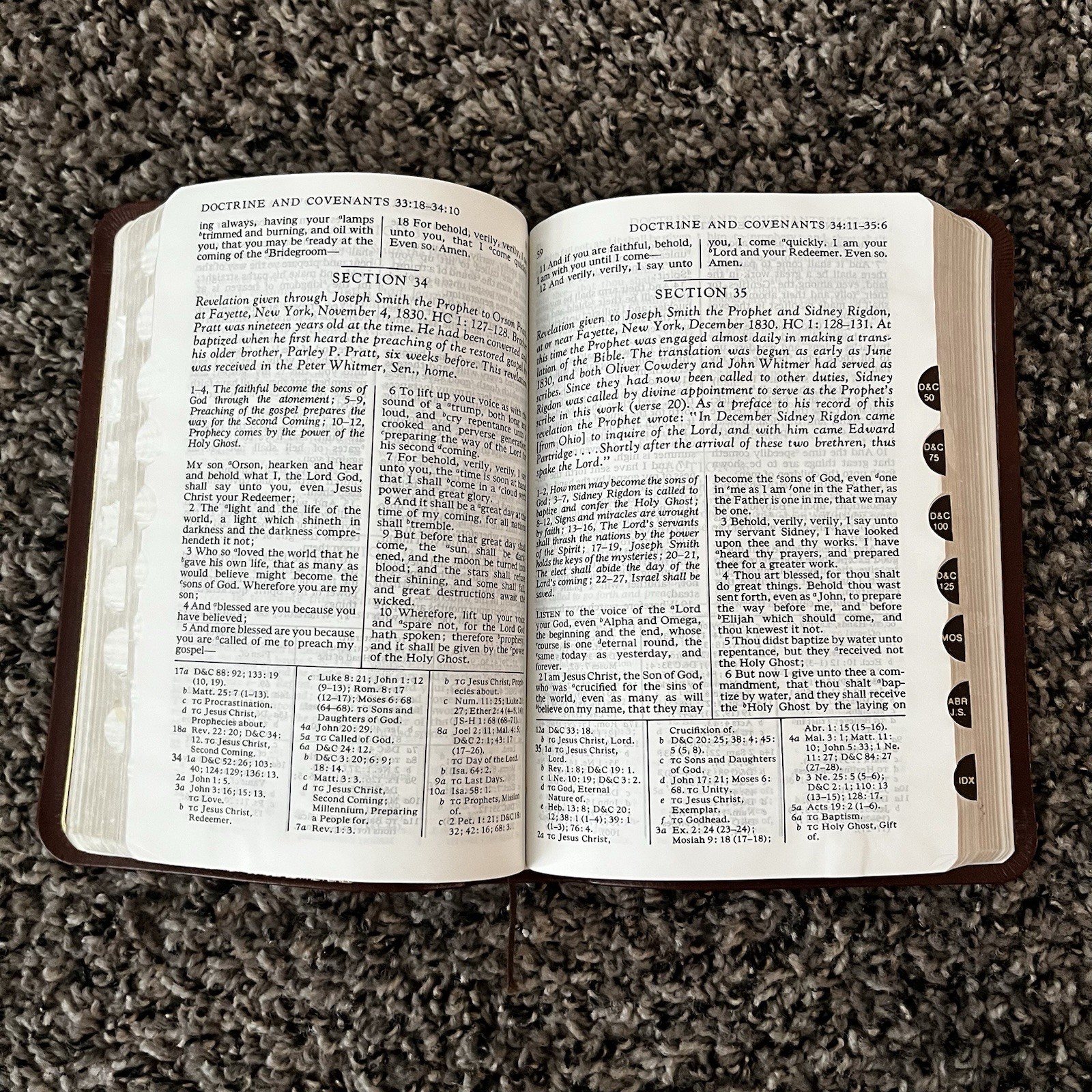 Brown Leather LDS Scripture Set – Holy Bible Book Of Mormon D&C Tabbed 5.25×7.5”