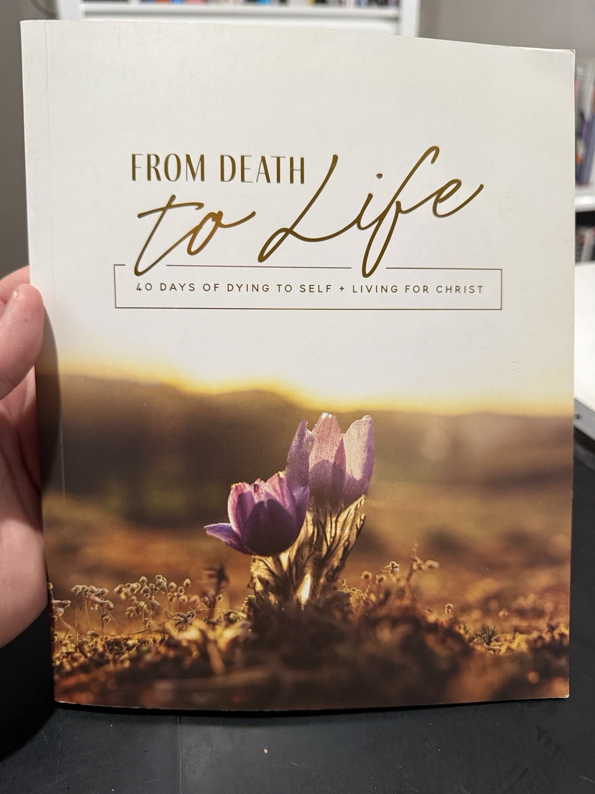 From Death to Life | 40 Days of Dying to Self and Living for Christ
