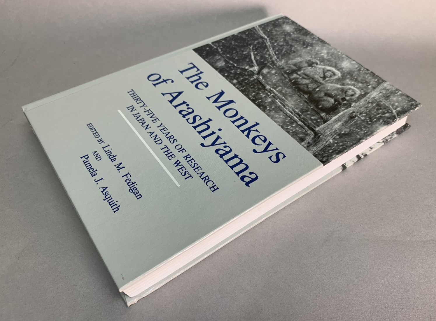 The Monkeys Of Arashiyama – 35 Years Of Research In Japan – Fedigan & Asquith HB