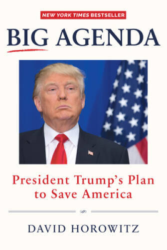 Big Agenda: President TrumpÂ?s Plan to Save America – Hardcover – GOOD