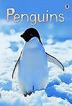 Penguins; Usborne Beginners – hardcover, 0794525814, Emily Bone
