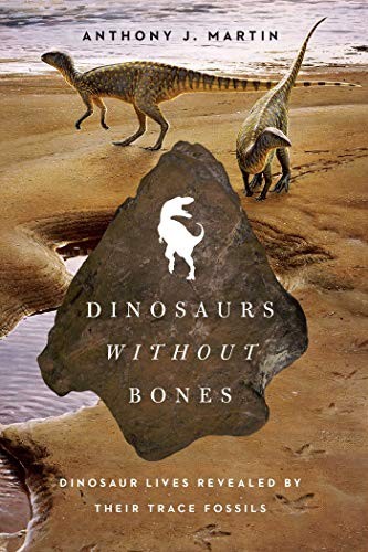 DINOSAURS WITHOUT BONES By Anthony J Martin – Hardcover *Excellent Condition*