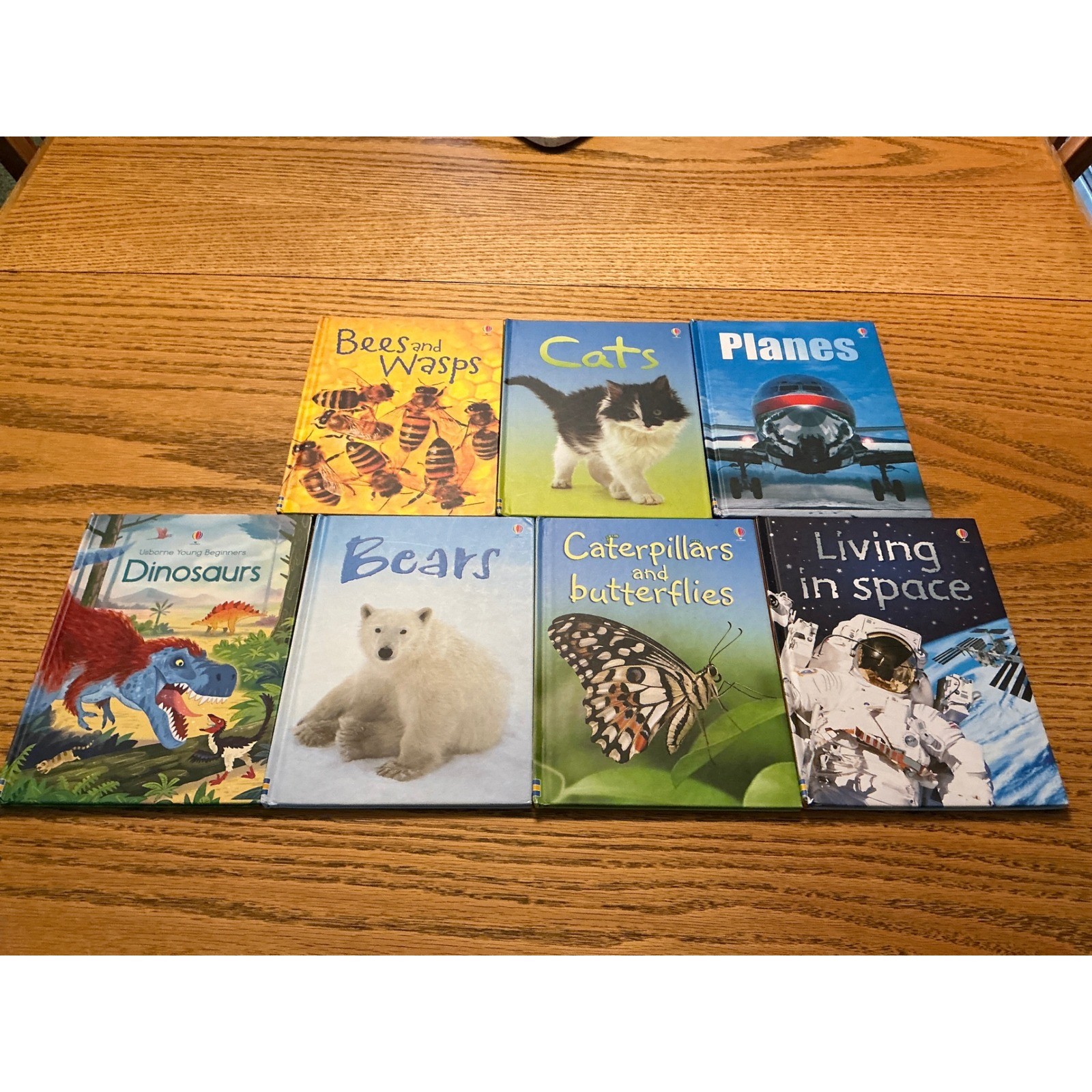 Usborne Beginners Book Lot 7 Hardcover Dinosaurs Bears Cats Space Planes Bees
