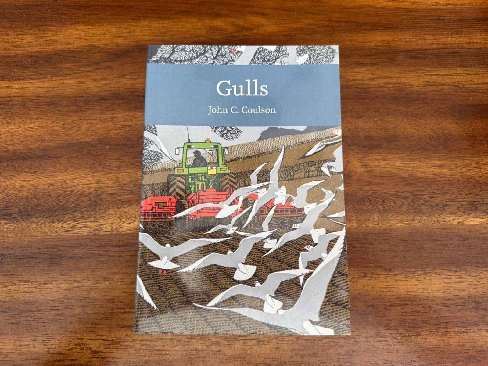 Collins New Naturalist Library – Gulls by Professor John C. Coulson