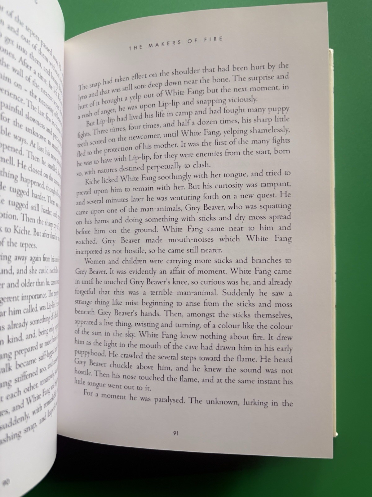 Jack London: White Fang HCDJ 2004 Borders Press Illustrated By Helen Ward