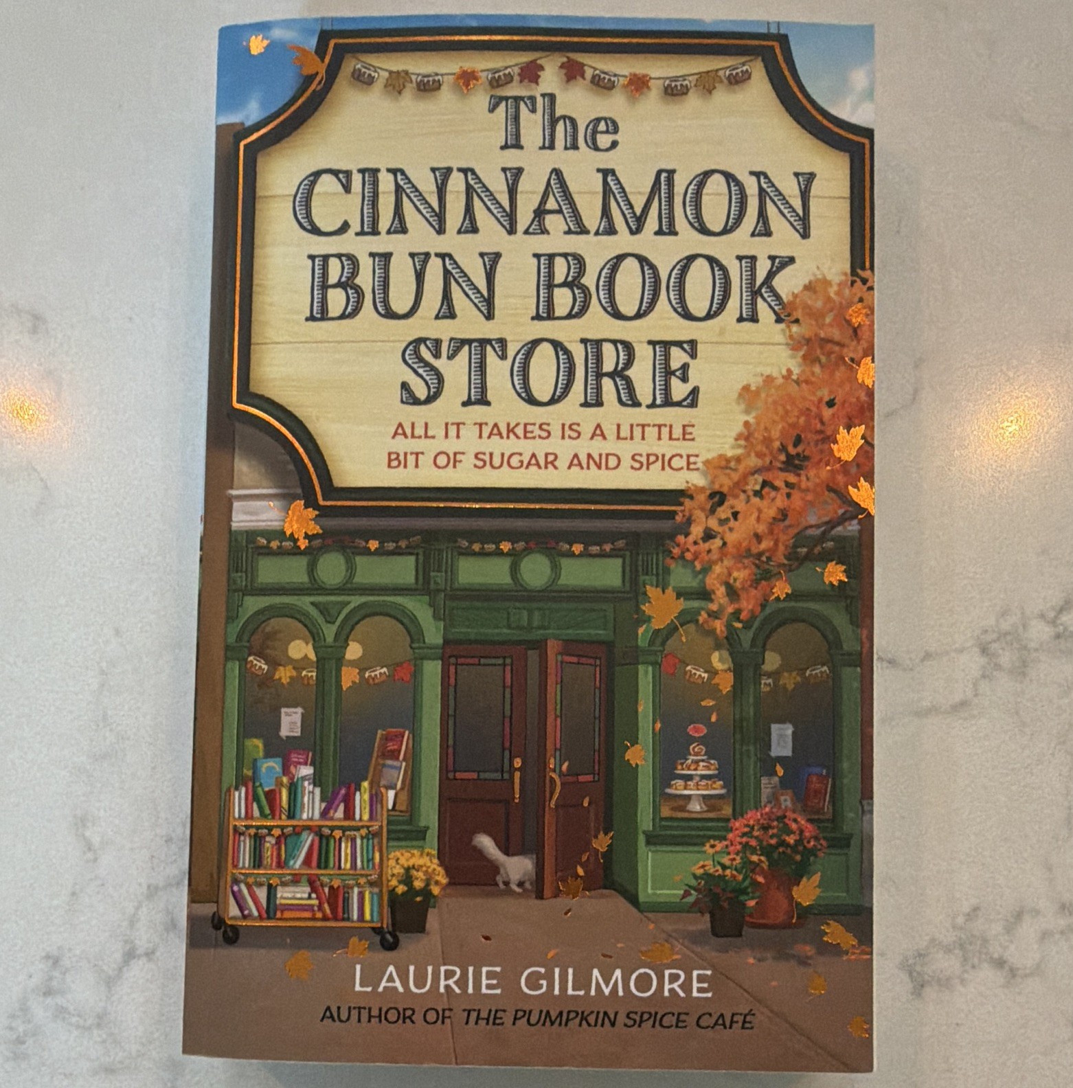 Laurie Gilmore The Cinnamon Bun Book Store Dream Harbor Bk 2 (2024) PB