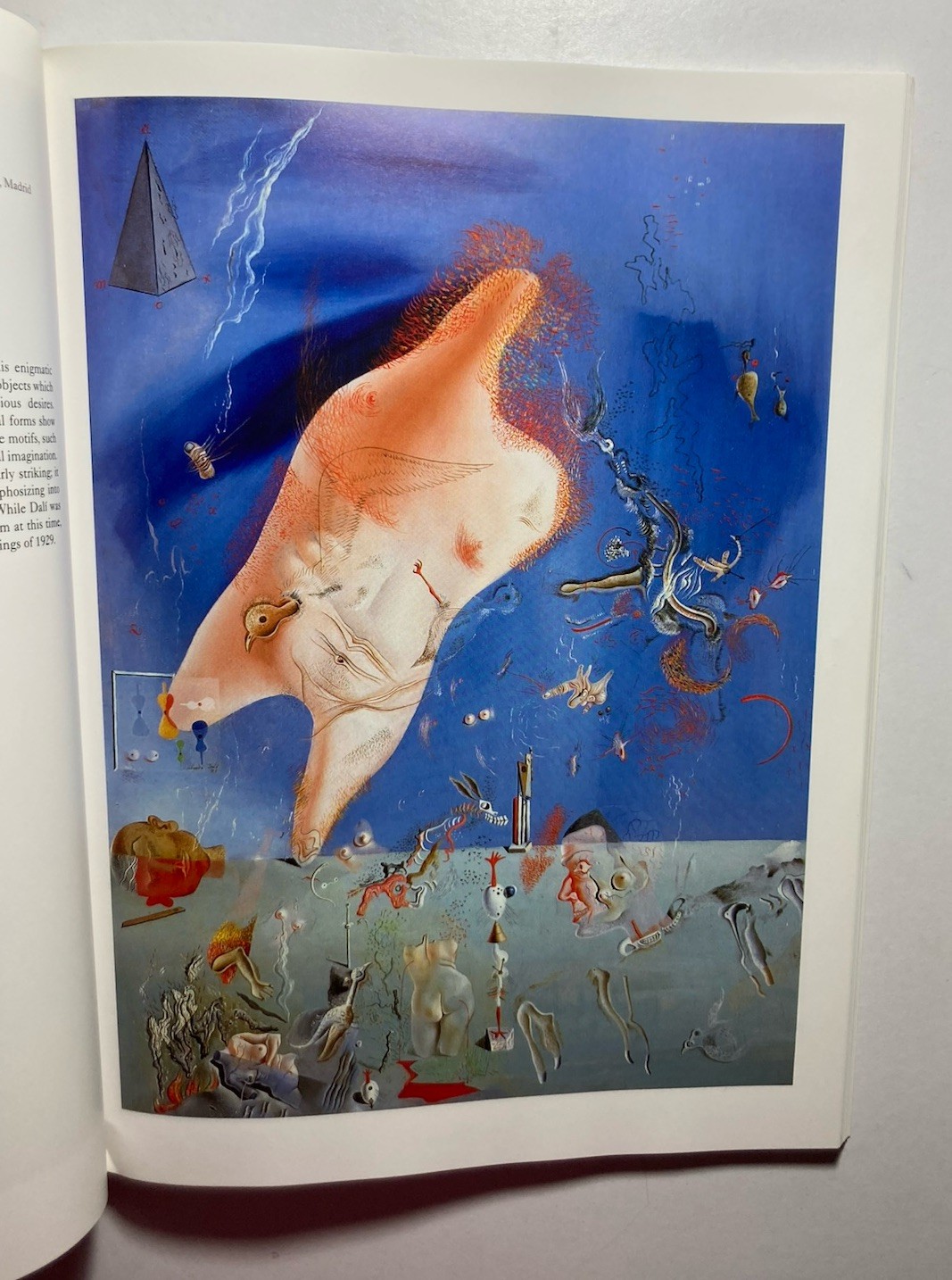 “DALI” by Christopher Masters 1995 Borders Press PAPERBACK Salvador Dali ART