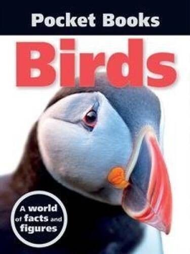 Birds – Paperback – VERY GOOD