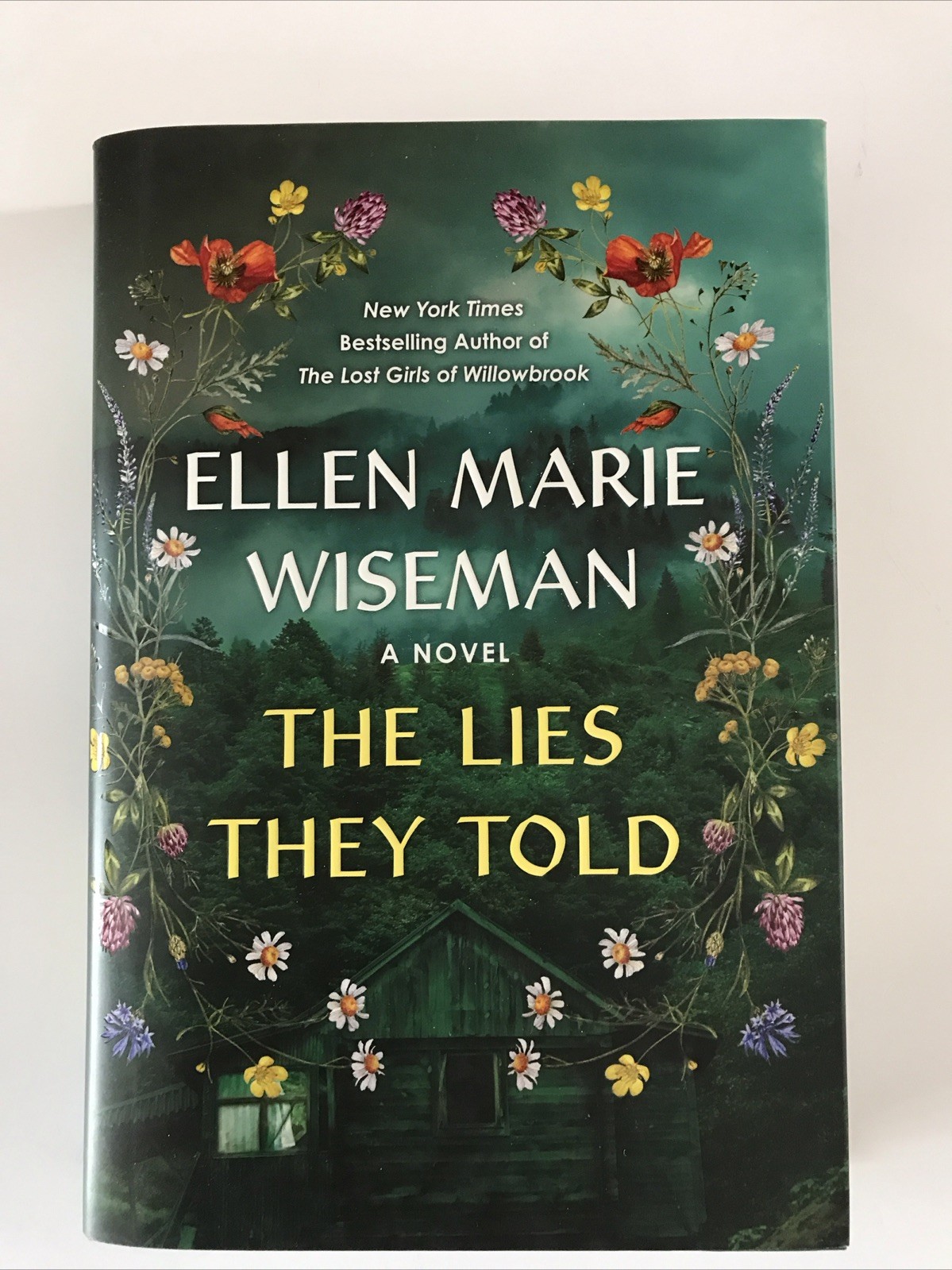 THE LIES THEY TOLD Book Hardcover New