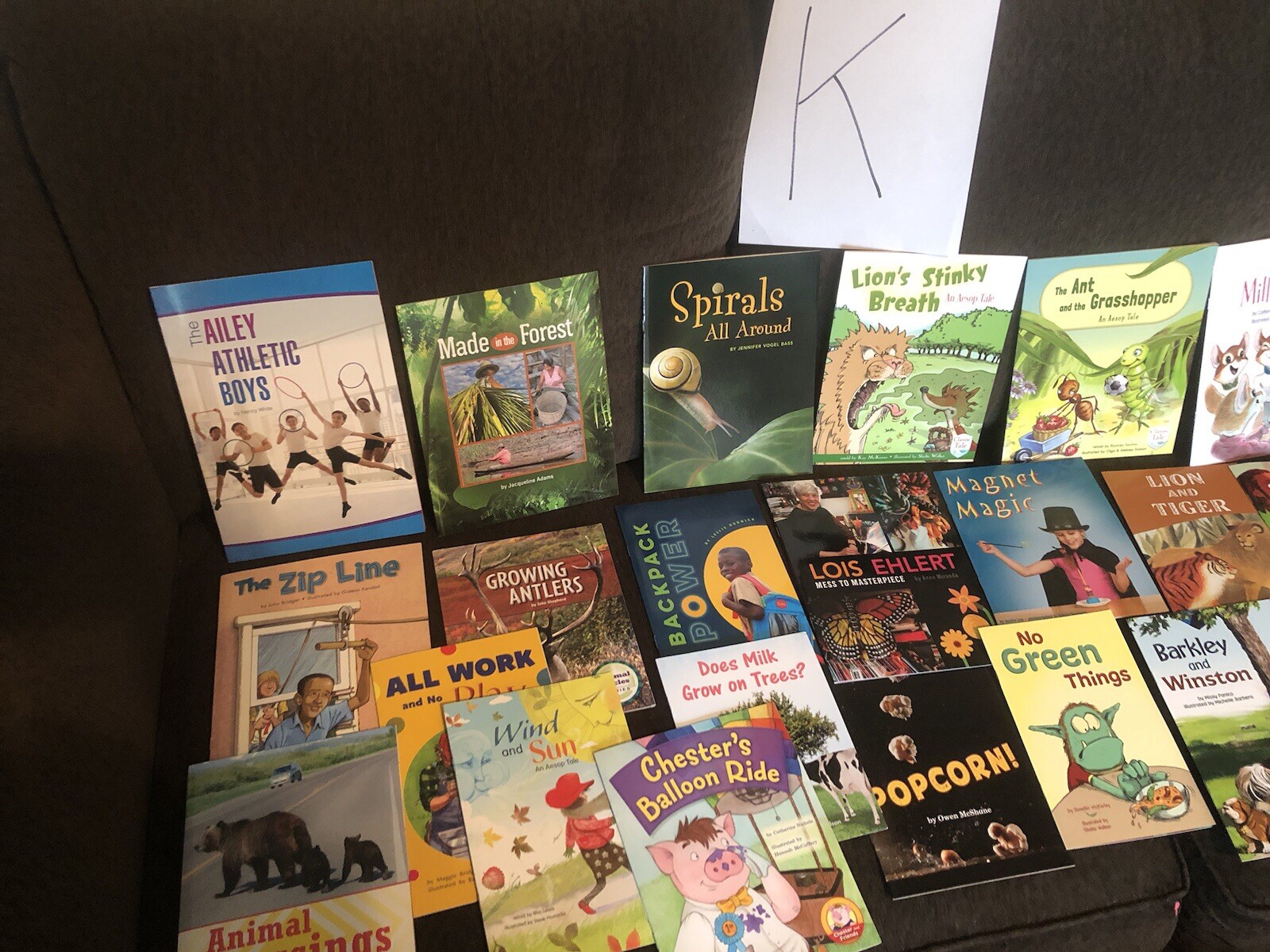 10 Books $15. Second Grade Reading Level TEACHER/SCHOOL LITERACY Free Ship