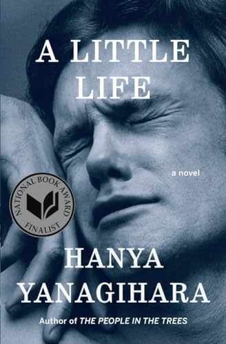 A Little Life: A Novel – Hardcover, by Yanagihara Hanya – Very Good b