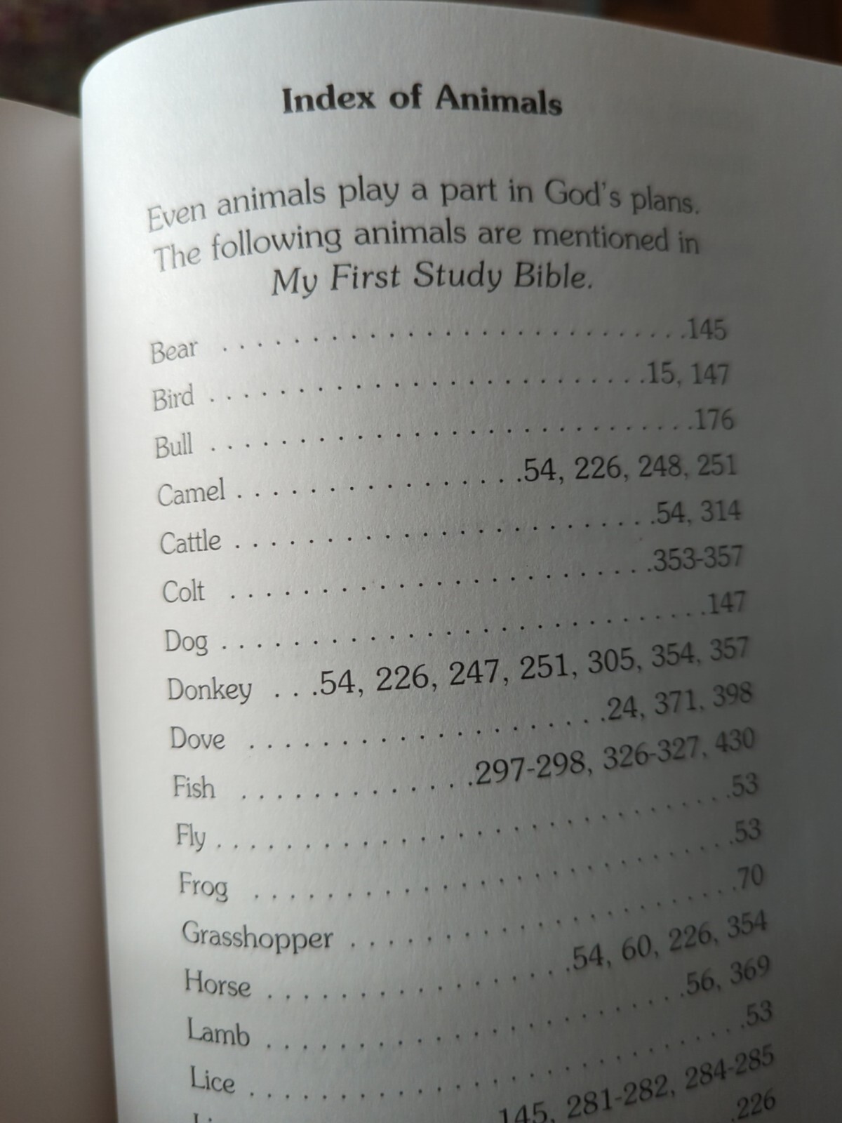 My First Study Bible Book Exploring God On My Own By Paul J Loth 528 Pages