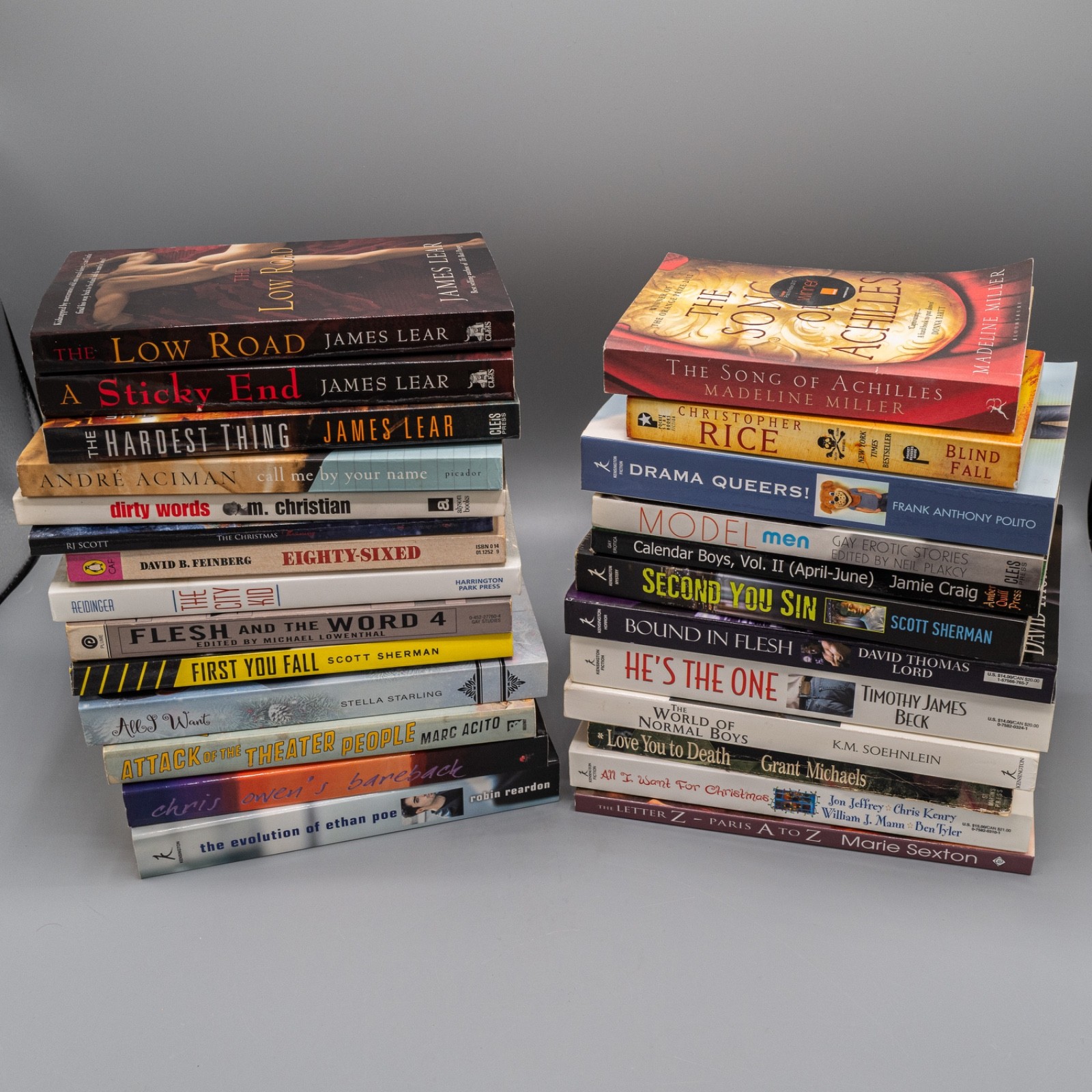 Gay Novels Erotica Gay Interest Lot of 26 Books English Build Your Library! #C
