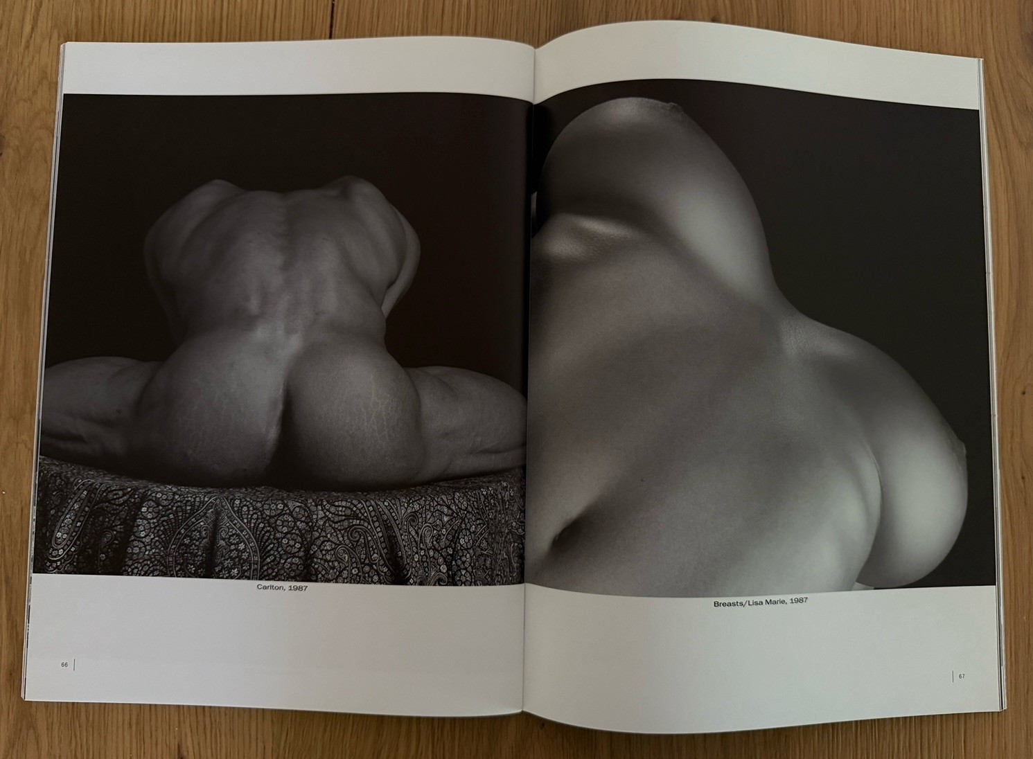 Robert Mapplethorpe by Robert Mapplethorpe (2004, Trade Paperback)