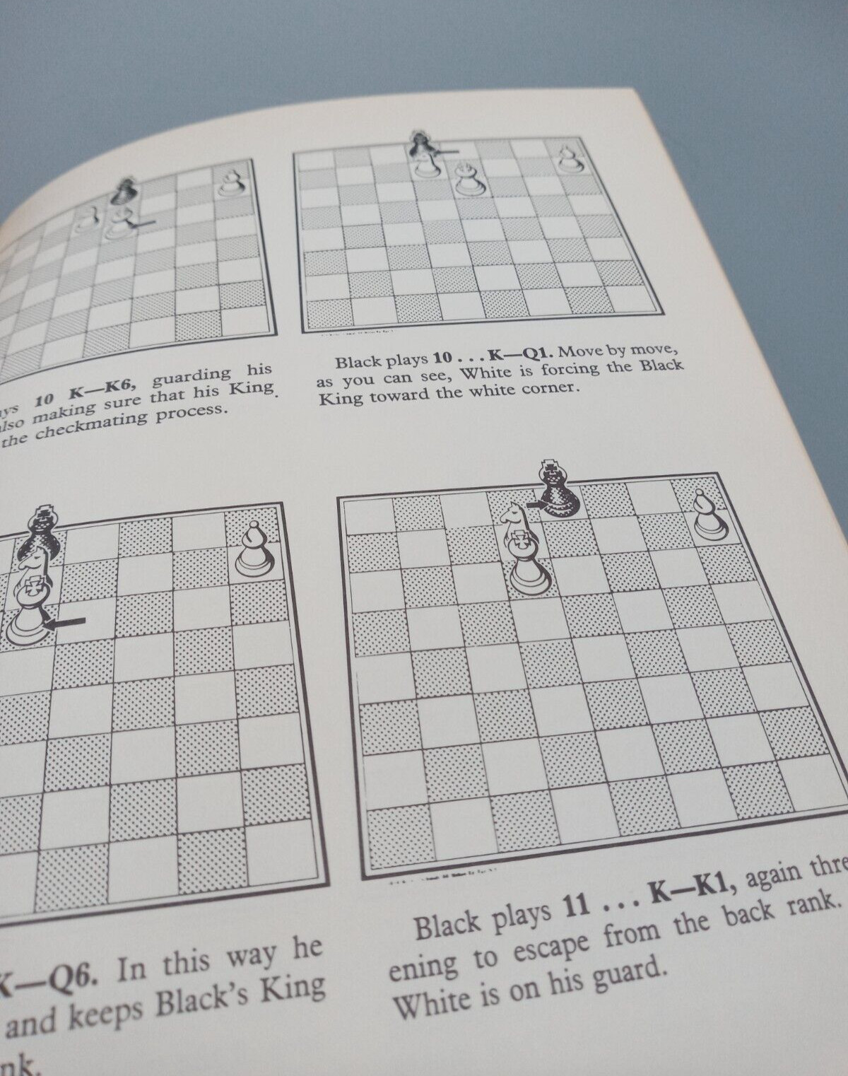 CHESS VICTORY Move by Move – w/ Player-View – By Fred Reinfeld HC