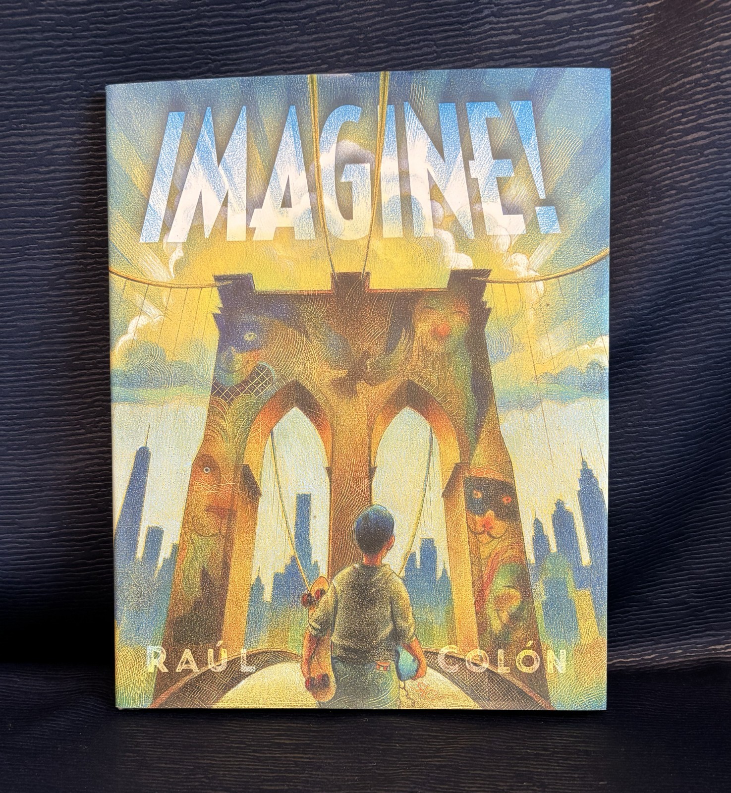 Imagine! By Raul Colon – Picture Book – Signed Unused Dust Jacket First Edition