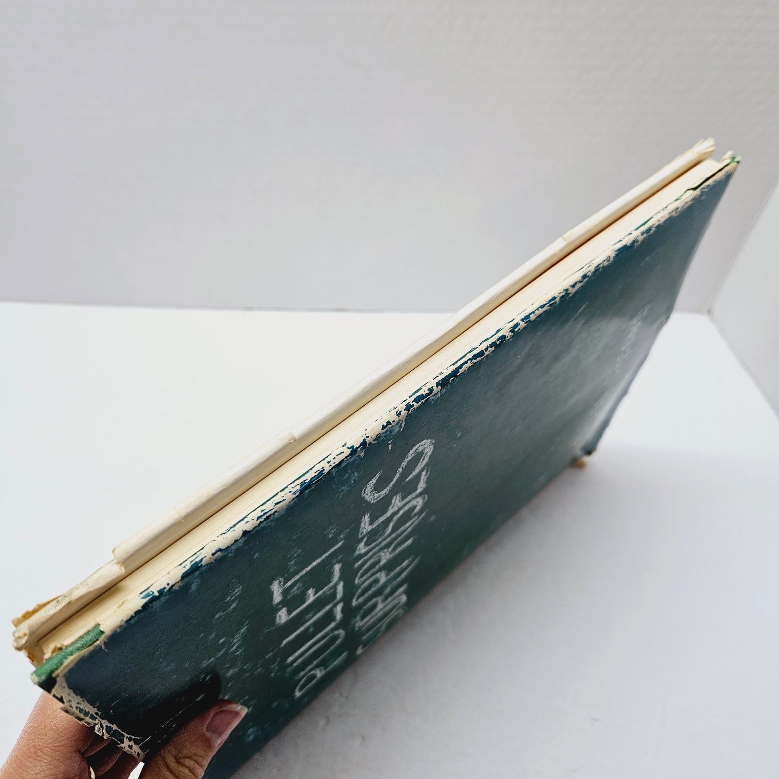 Humorous Language Book – Pullet Surprises – Amsel Greene 1970 Sultana Press