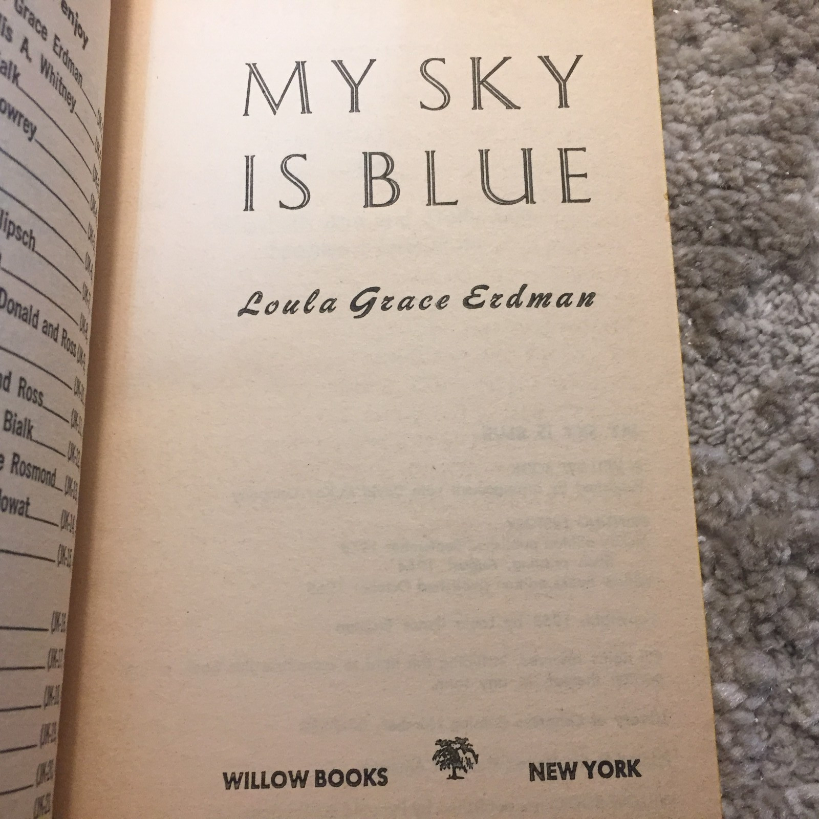 My Sky Is Blue Loula Grace Erdman 1965 Willow Books School Story Romance Book